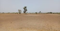 Terrain 1,83 ha à vendre – Tassette, Thiès