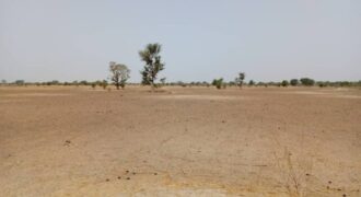 Terrain 1,83 ha à vendre – Tassette, Thiès