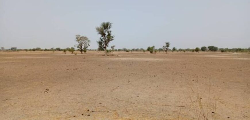 Terrain 1,83 ha à vendre – Tassette, Thiès