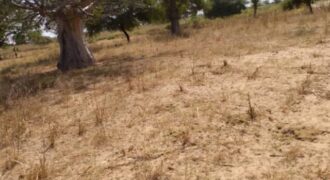 Terrain 1,85 ha à vendre – Tassette, Thiès