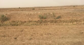 Terrain 1,86 ha à vendre – Keur Moussa, Thiès