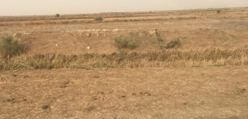 Terrain 1,86 ha à vendre – Keur Moussa, Thiès