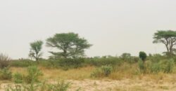 Terrain 1,87 ha à vendre – Méouane, Thiès