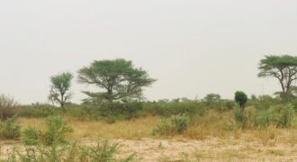Terrain 1,87 ha à vendre – Méouane, Thiès