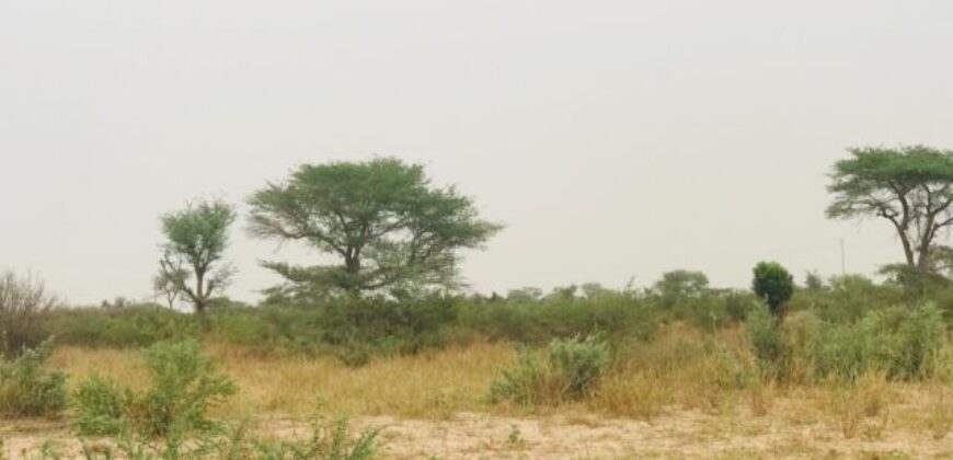 Terrain 1,87 ha à vendre – Méouane, Thiès