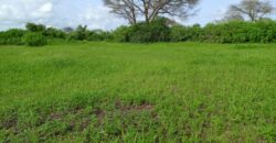 Terrain 1,87 ha à vendre – Tassette, Thiès