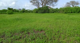 Terrain 1,87 ha à vendre – Tassette, Thiès