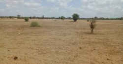 Terrain 1,87 ha à vendre – Touba Toul, Thiès