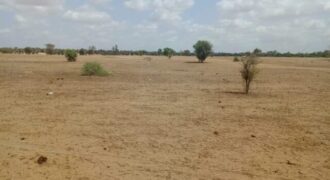 Terrain 1,87 ha à vendre – Touba Toul, Thiès