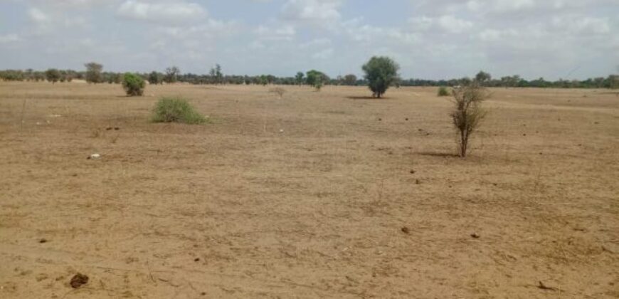 Terrain 1,87 ha à vendre – Touba Toul, Thiès