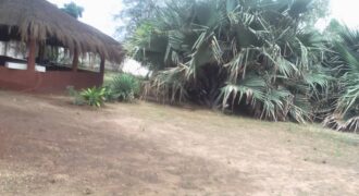 Terrain 10 hectares clôturé à vendre – Sindia, Mbour
