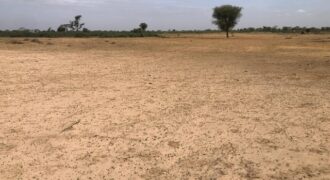 Terrain 9000 m² à Vendre — Tassette, Thiès