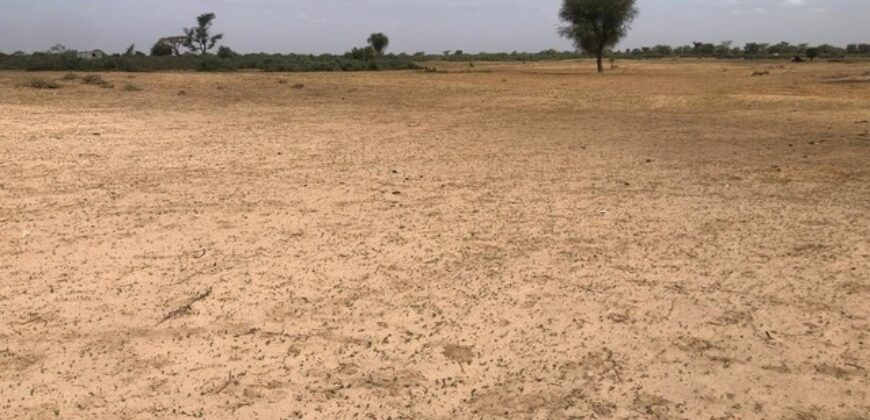 Terrain 9000 m² à Vendre — Tassette, Thiès