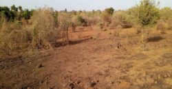Terrain 1,5 ha à vendre – Sindia, Mbour