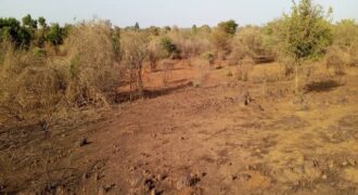 Terrain 1,5 ha à vendre – Sindia, Mbour