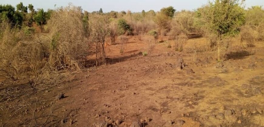 Terrain 1,5 ha à vendre – Sindia, Mbour