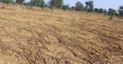Terrain agricole de 1,50 ha à vendre à Notto Diobass – Sénégal