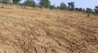 Terrain agricole de 1,50 ha à vendre à Notto Diobass – Sénégal