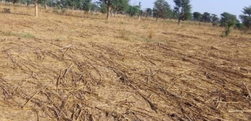 Terrain agricole de 1,50 ha à vendre à Notto Diobass – Sénégal