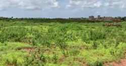 Terrain de 1,63 hectare vers Diass