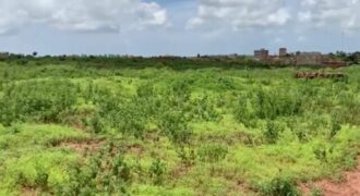 Terrain de 1,63 hectare vers Diass