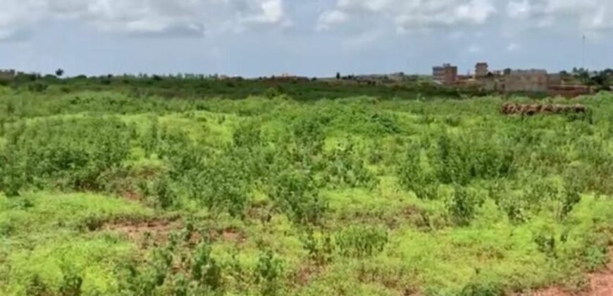 Terrain de 1,63 hectare vers Diass