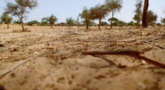 Terrain de 1,65 hectare vers Diokoul Diawrigne