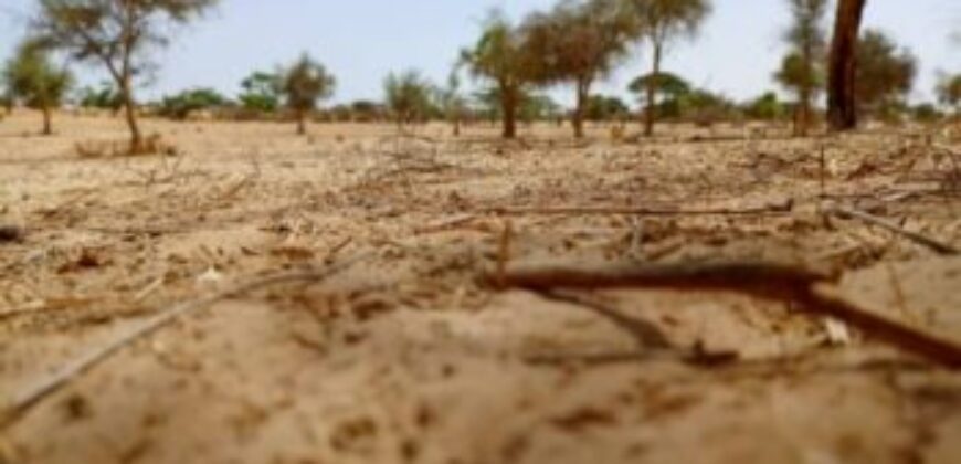 Terrain de 1,65 hectare vers Diokoul Diawrigne