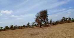 Terrain de 1,67 hectare vers Notto Diobass