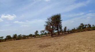 Terrain de 1,67 hectare vers Notto Diobass