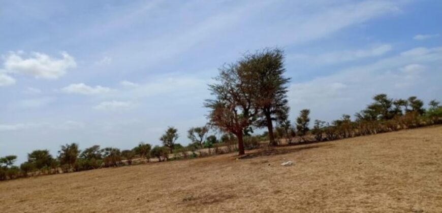 Terrain de 1,67 hectare vers Notto Diobass