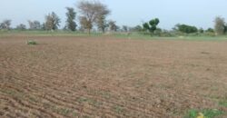 Terrain de 1,68 hectare vers Sandiara