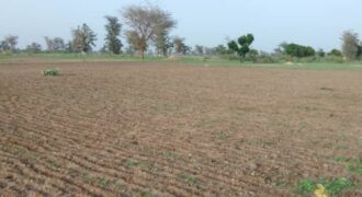 Terrain de 1,68 hectare vers Sandiara