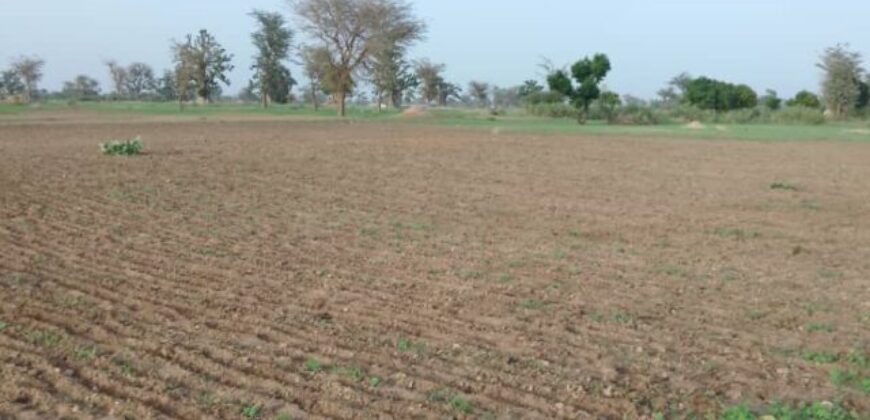 Terrain de 1,68 hectare vers Sandiara