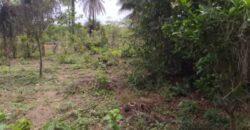 Terrain 1 ha à vendre – Kafountine, Bignona