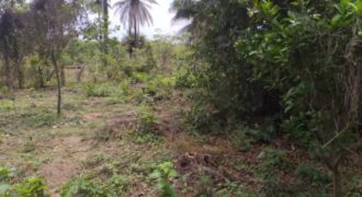 Terrain 1 ha à vendre – Kafountine, Bignona