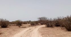 Terrain 10 ha à vendre – Ross Béthio, Saint-Louis