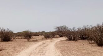 Terrain 10 ha à vendre – Ross Béthio, Saint-Louis