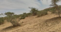 Terrain agricole 10 ha à vendre – Darou Khoudoss