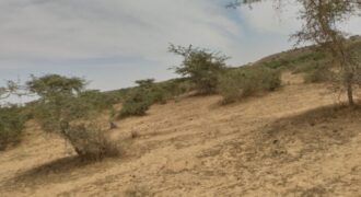 Terrain agricole 10 ha à vendre – Darou Khoudoss
