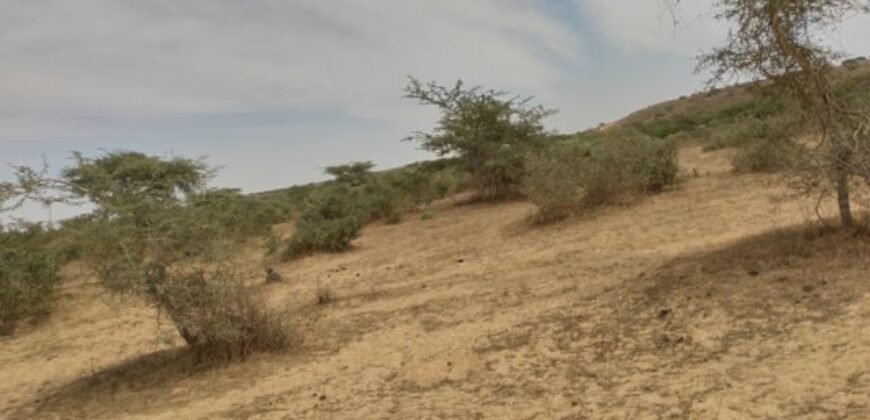 Terrain agricole 10 ha à vendre – Darou Khoudoss