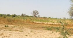 Terrain agricole 1,90 ha à vendre – Chérif Lô