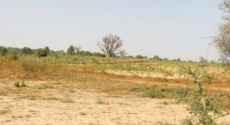 Terrain agricole 1,90 ha à vendre – Chérif Lô