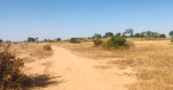 Terrain agricole 1,91 ha à vendre – Notto Diobass