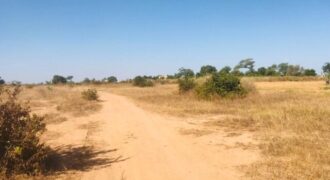 Terrain agricole 1,91 ha à vendre – Notto Diobass