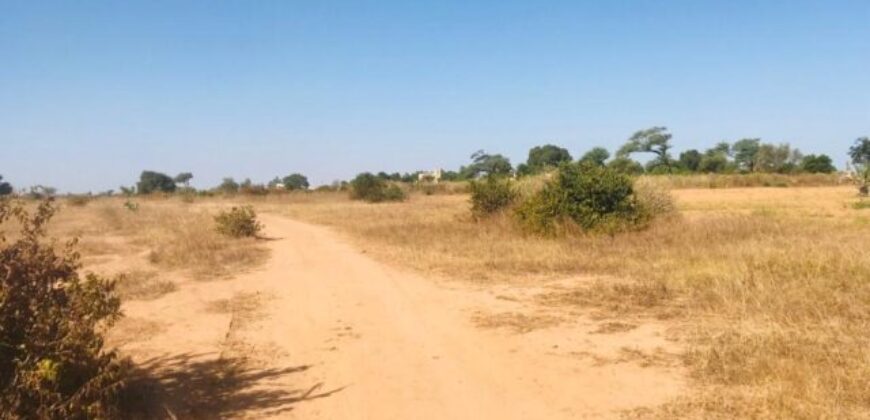 Terrain agricole 1,91 ha à vendre – Notto Diobass