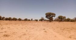 Terrain agricole 1,91 ha à vendre – Tassette