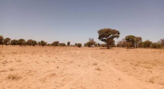 Terrain agricole 1,91 ha à vendre – Tassette