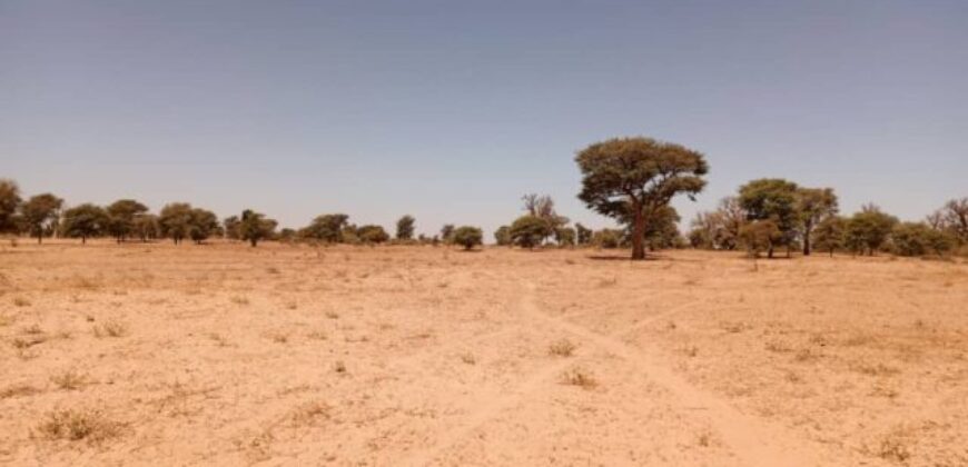 Terrain agricole 1,91 ha à vendre – Tassette