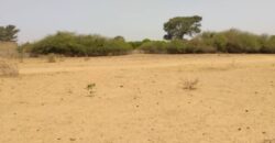 Terrain agricole 1,93 ha à vendre – Sindia